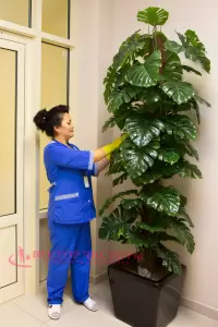 Фотография Клининговая компания Вектор чистоты 4