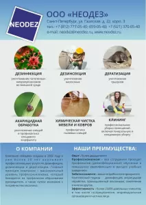 Фотография Неодез 3